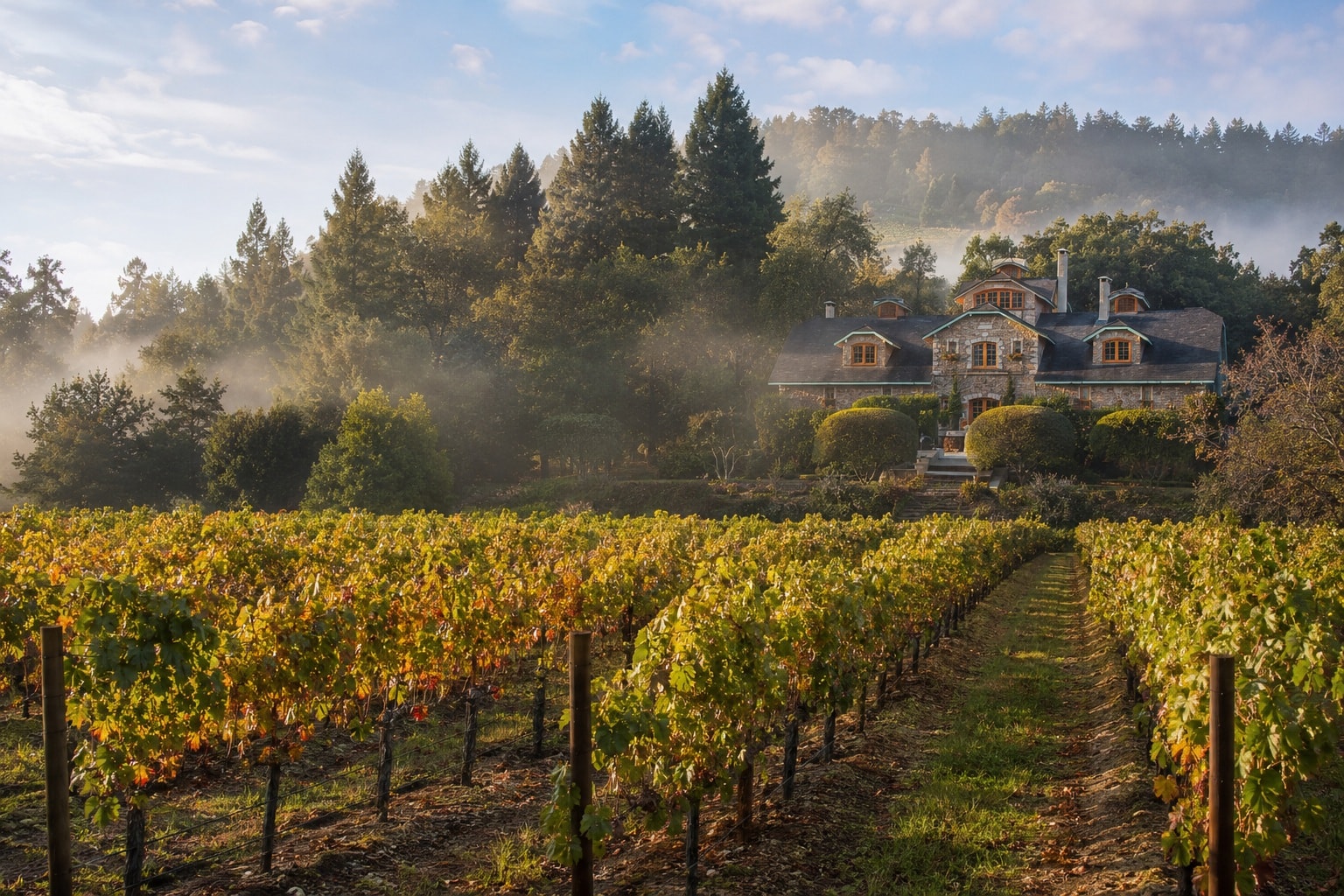 Far Niente Winery-early-morning